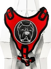 Kırmızı Cane Corso Köpek Göğüs Tasması