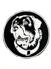 Haki Kangal Köpek Göğüs Tasması