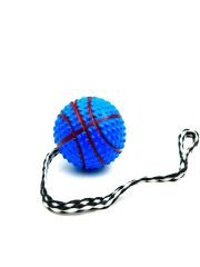 Basketbol Topu Modelli Zilli İpli Köpek Eğitim Topu Oyuncağı Seti