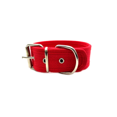 Kırmızı Kolon Köpek Tasması