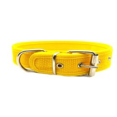 Sarı Kolon Köpek Tasması 3cm