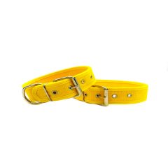 Sarı Kolon Köpek Tasması 3cm