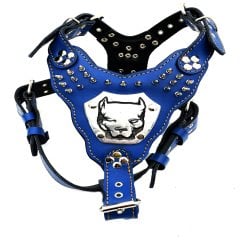 Mavi Çivili Gladyatör Köpek Göğüs Tasması