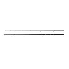 Shimano Kamış Salty Advance Spinning 2,90m 9'6'' 60g JIG80g 2pc