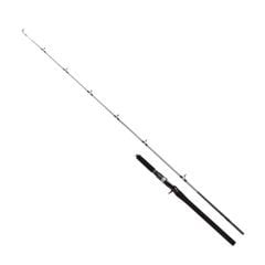 Shimano Kamış Speedmaster R Jigging Casting 1,91m 6'3'' 120g 2pc - Tetikli