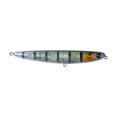 Hanfish ATILGAN 110 ATN
