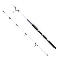 Captain 1418 Moonstar Boat 180cm 2 Parça Tekne Kamışı 150gr Atar