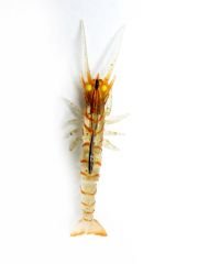 Captain 3049 Magic Shrimp 3D Silikon Karides 76mm 5.5gr Suni Yem