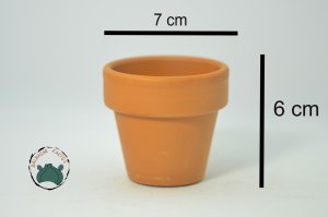 Doğal Terakota Toprak Kaktüs Sukulent Saksısı 7X6 cm - Sevillia Model