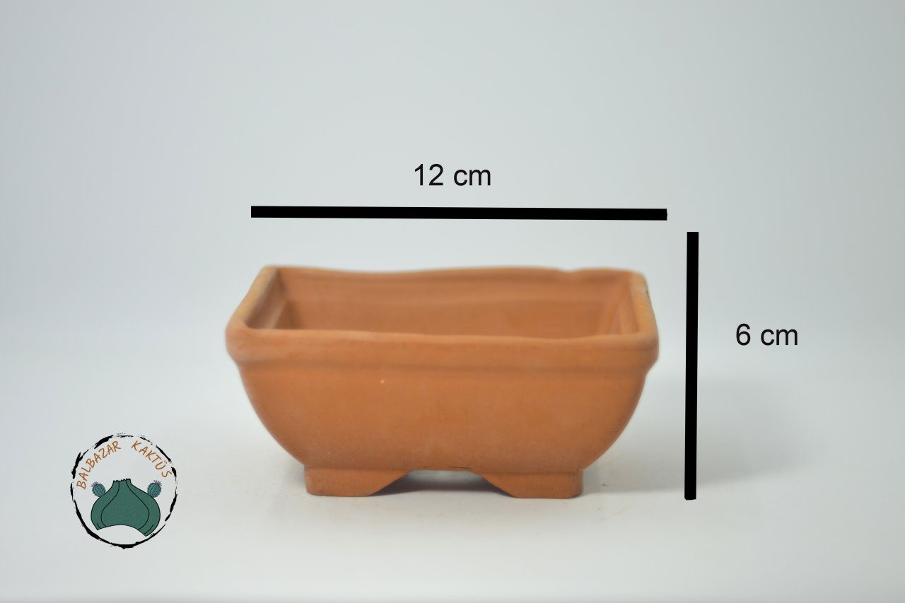 Doğal Terakota Toprak Bonsai Saksısı 12 x 6 cm