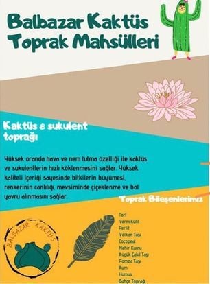 Balbazar Kaktüs Botanik Kaktüs Sukulent Toprak Karışımı 1 Litre