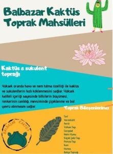 Balbazar Kaktüs Botanik Kaktüs Sukulent Toprak Karışımı 1 Litre