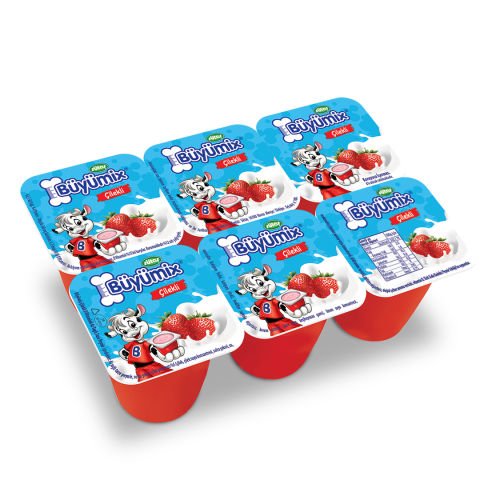Büyümix Çilekli 6x40 g