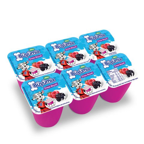 Büyümix Orman Meyveli 6x40 g