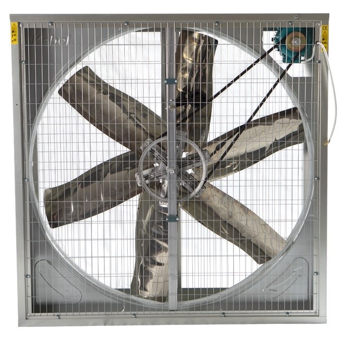 Albayair Egzos Fan 100*100