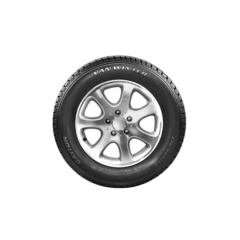 195/60R16C 99/97T VAN WINTER M+S / SFM DAYTON