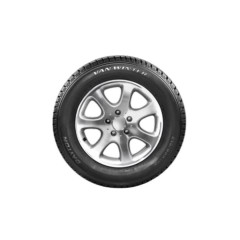 195/75R16C 107/105R DAYTON VAN WINTER