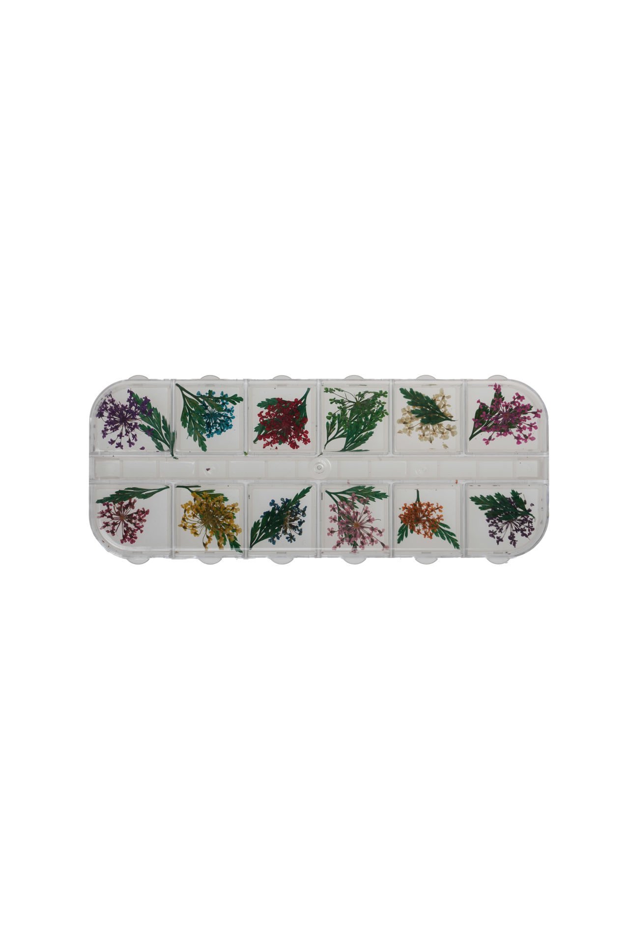 Nail Art Süsleme Yapraklı Kuru Çiçek
