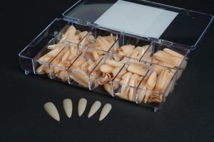 Xbeauty Jel Tips (Kapsül Tınak) Beige