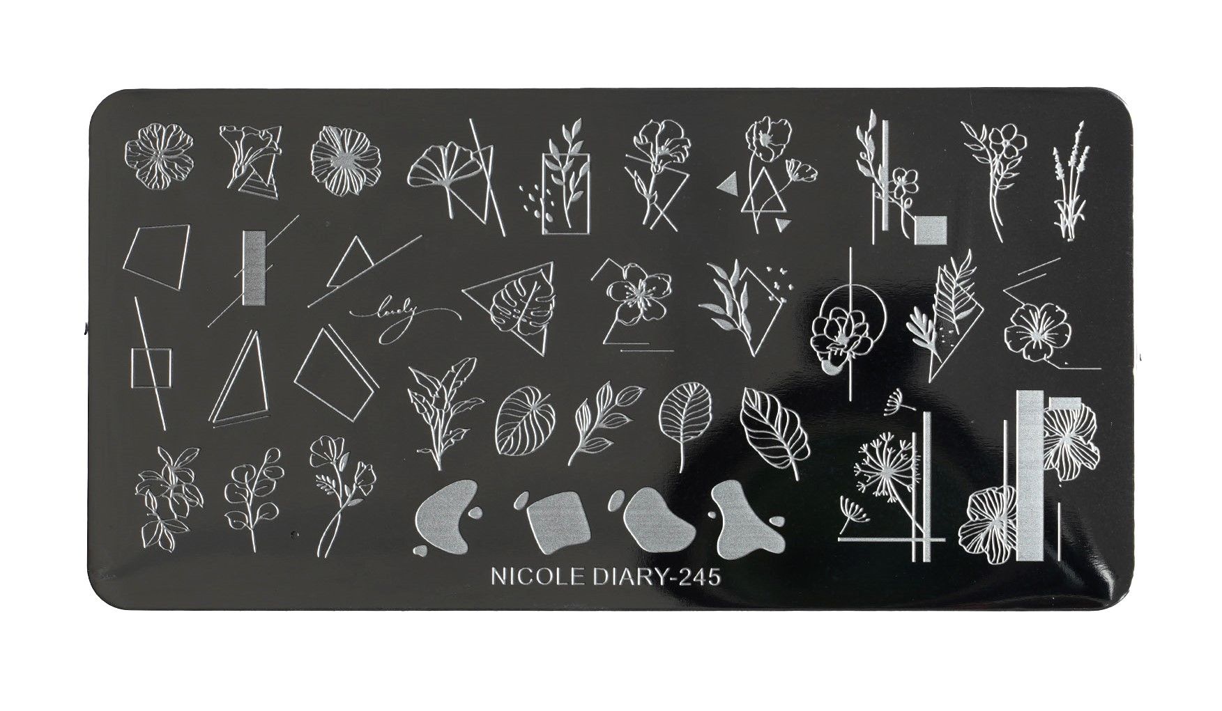 Nail Art Stamping Baskı Plakası ND-245