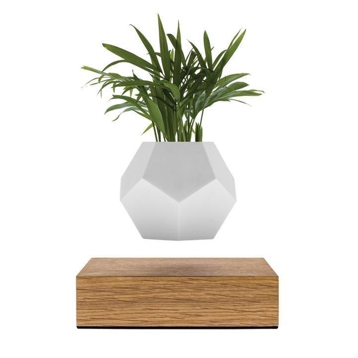 Lyfe Planter - Havada Dönen Saksı - Dekoratif Ürünler