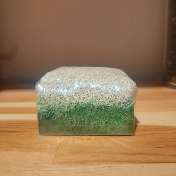 Kabak Lifli Aloe Vera Sabun