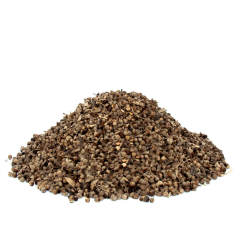 Hayıt Otu Tohumu Vitex agnus-castus