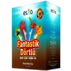 Esila Fantastik Dörtlü Yaz Çayı 45 Süzen Poşet