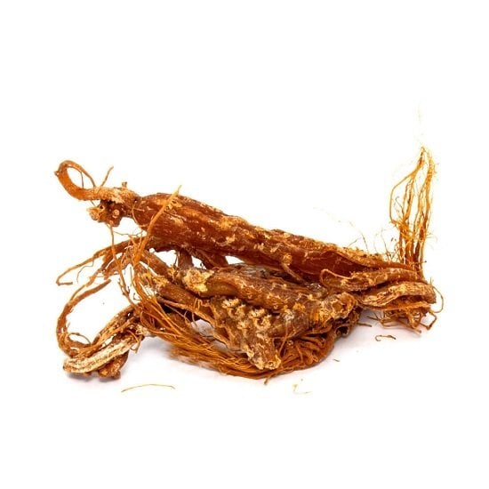 Kırmızı Ginseng Kökü Panax Ginseng