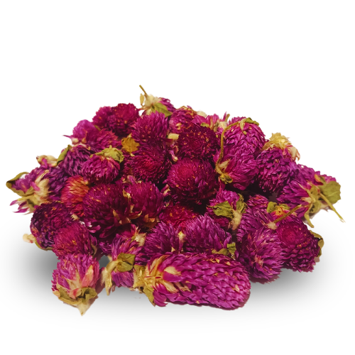 Alfa Alfa Çiçeği  Medicago Sativa