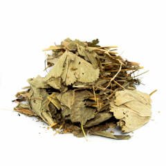Aslan Pençesi Testere Dişli  Lat. Alchemilla