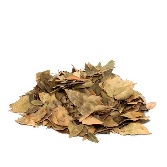 Mersin Yaprağı Myrtus Communis