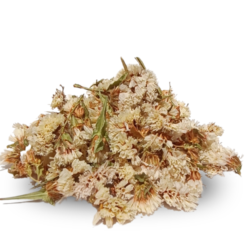 Hodan Çiçeği Borago officinalis