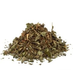 Oğul Otu melissa officinalis