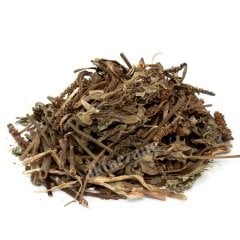 Sinirli Ot Damar Otu Plantago lanceolata