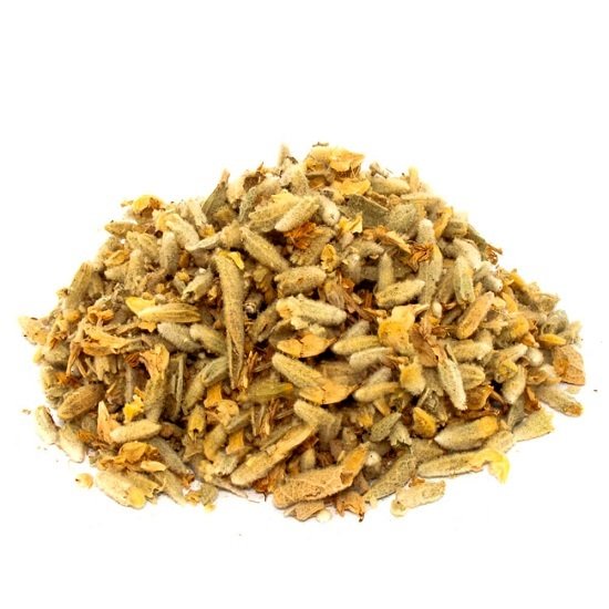 Sarı Ballıbaba Otu Lamium galeobdolon