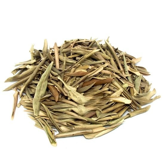 Zeytin Yaprağı Olea europaea L.