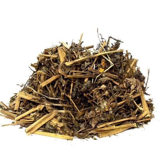 Kırlangıç Otu Casia Acutifolia