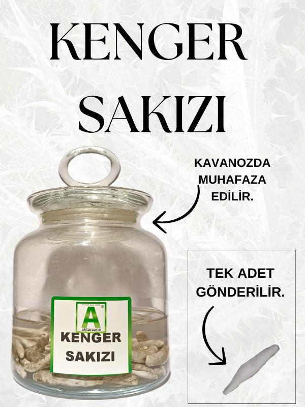 Kenger Çenger Sakızı 1ad