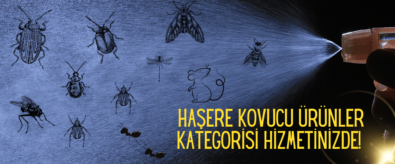 haşere