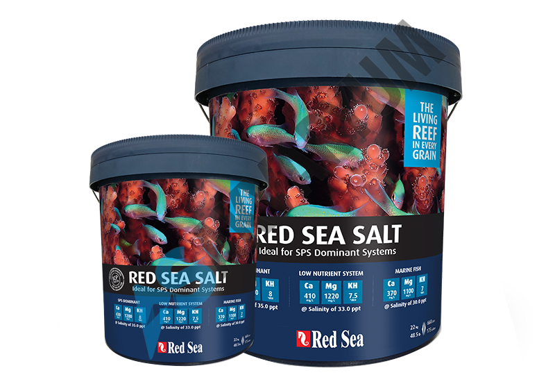 Red Sea Salt