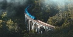 ORMANIN İÇİNDE KÖPRÜLÜ TREN MANZARALI DUVAR POSTERİ