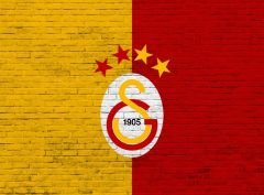 TAŞ DESEN ARKA PLANLI GALATASARAY LOGOLU DUVAR POSTERİ