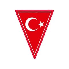 Gogo Türk Bayrağı Desenli Sticker 70 x 95 mm