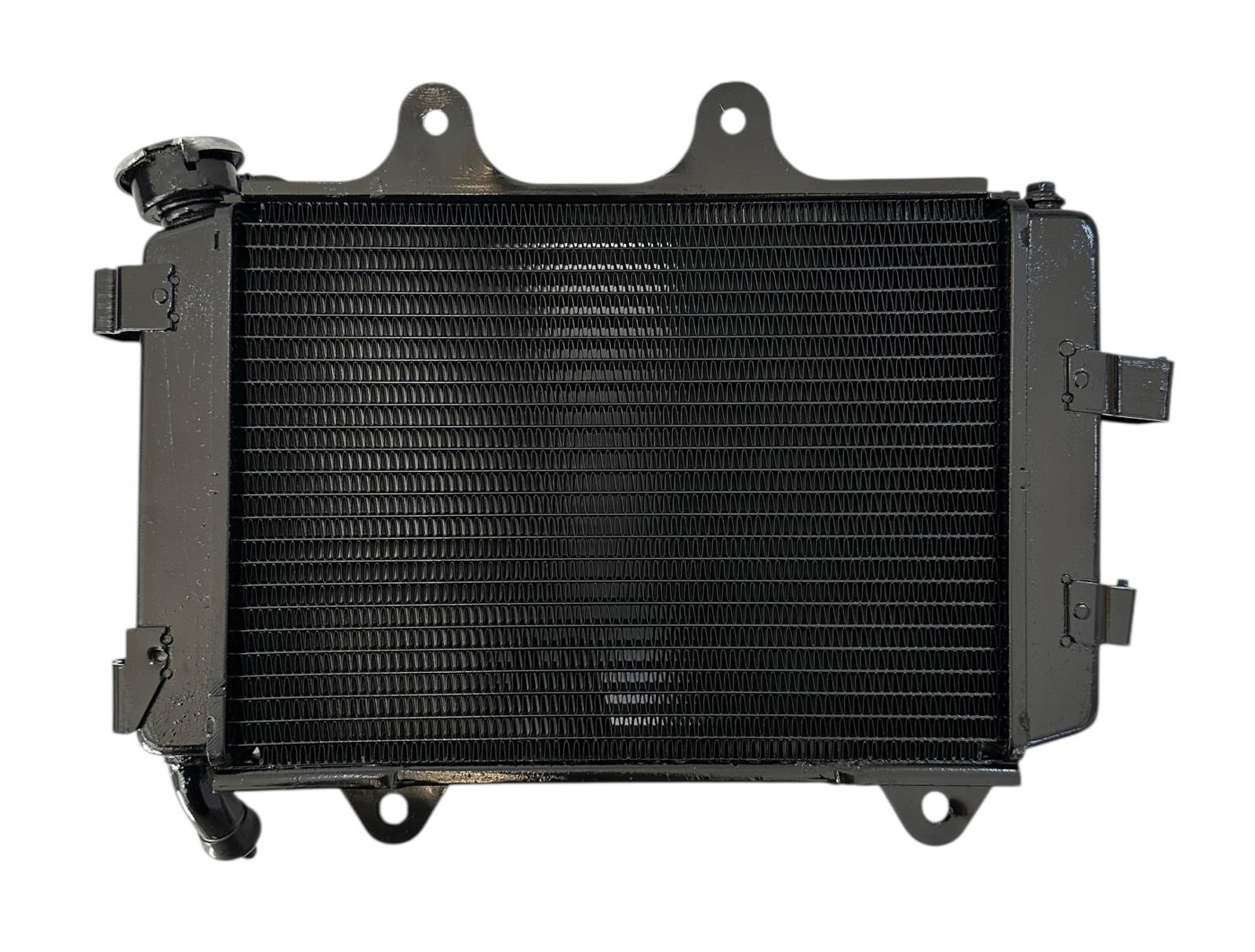 Bajaj Dominar 250 Radyatör Orjinal 2020-2023 (JF601215)