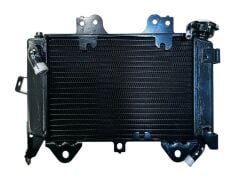 Bajaj Pulsar NS 200 Radyatör Orjinal 2020-2023 (JL601234)