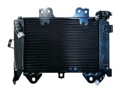 Bajaj Pulsar NS 200 Radyatör Orjinal 2020-2023 (JL601234)