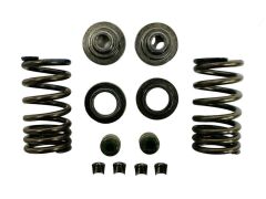 Bajaj Pulsar NS 200 Subap Yay Takımı Orjinal (36JE0001)