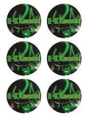 MTS Kawasakı D-5 6'lı Sticker