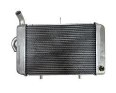 Yamaha Xmax 250 Radyatör Komple Orjinal 2018-2024 (B74-E240A-01)